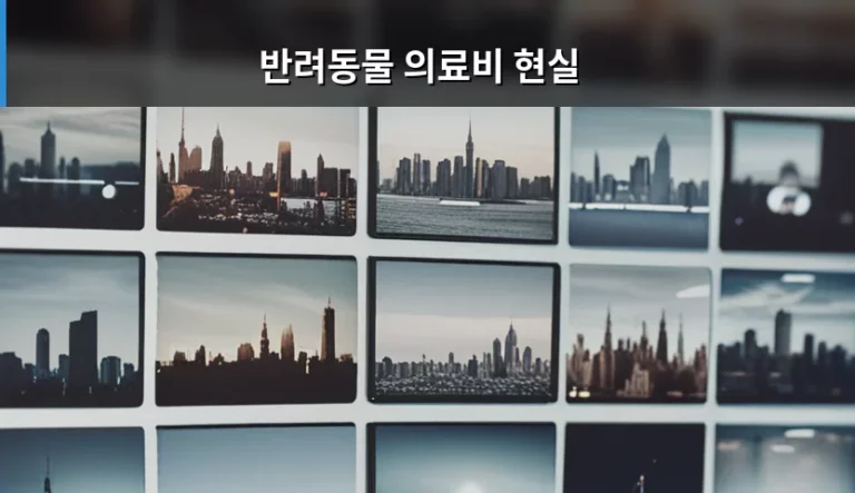 반려동물 의료비 현실과 합리적인 병원비 관리법