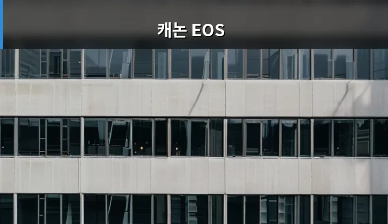 캐논 EOS 라인업 선택 가이드와 렌즈 마운트 활용법