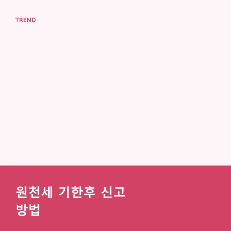 원천세 기한후 신고 방법 및 가산세 감면 가이드
